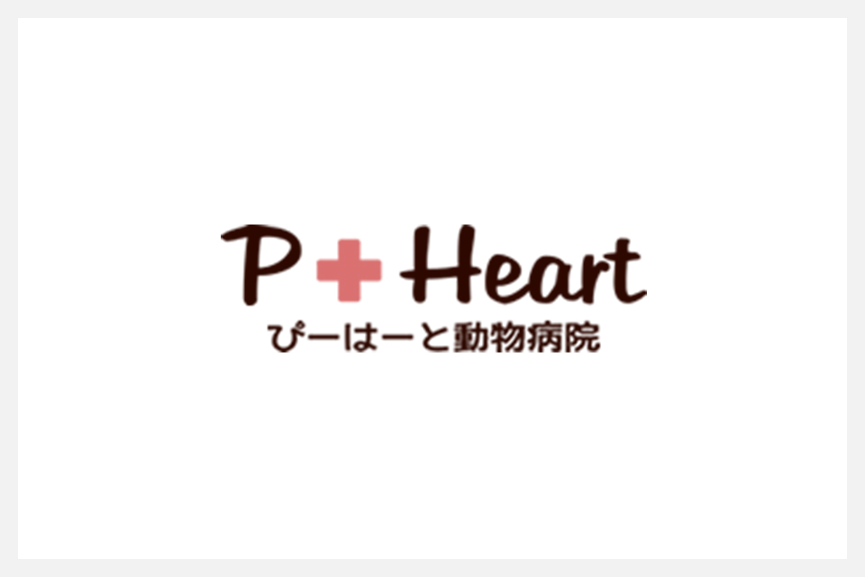 ブログ開設しました